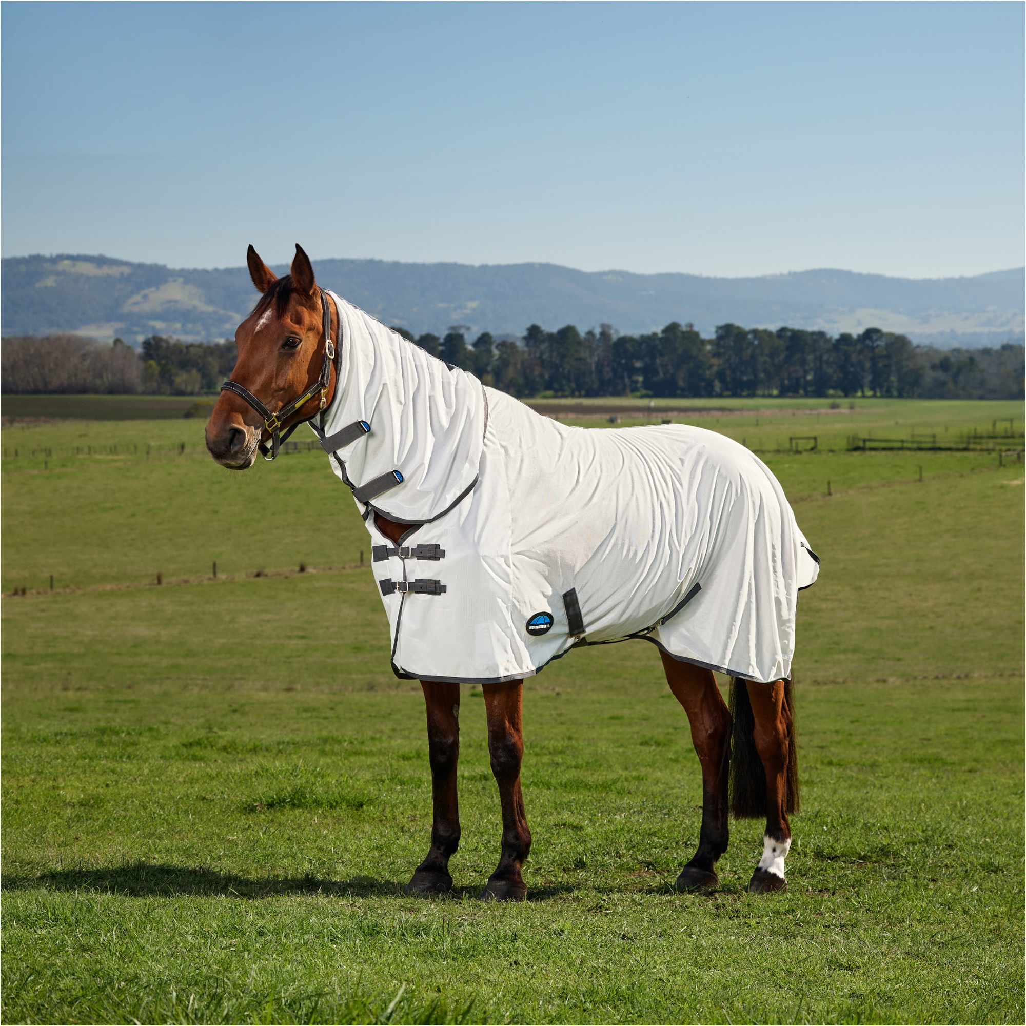 2026 WeatherBeeta Comfitec Anfänger Combo Fliegen Blatt 1029544001 - Weiß / Charcoal